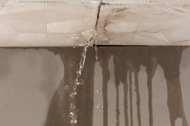 Professional Emergency Water Removal technician working in Purmela, TX